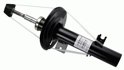 Schokdemper 315876