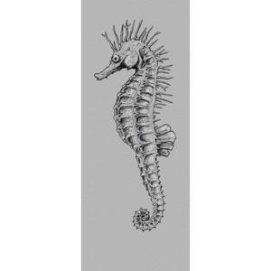 Fotobehang - Seahorse 100x250cm - Vliesbehang