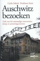 Auschwitz bezoeken (Paperback)