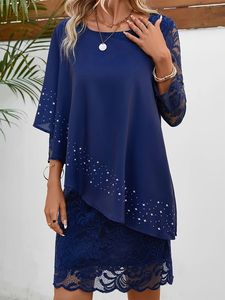 Lace Crew Neck Elegant Dress