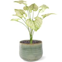 Brunnera kunstplant 55cm - creme/groen