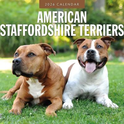 American Staffordshire Terrier Kalender 2026 American Staffordshire Terrier Kalender 2026