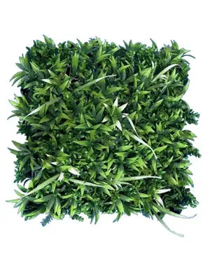 EasyLawn wandplant Fresh mix 1x1 meter