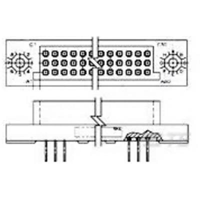 TE Connectivity 531134-8 Female header, inbouw (standaard) Inhoud: 1 stuk(s) Package