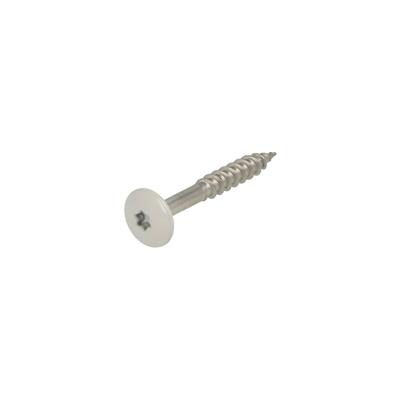 Hoenderdaal Fasteners Hoenderdaal hpl schroef rvs-a2 torx tx20 lichtgrijs ral7035 4.8x38 | 100 stuks - 0346.30.37538