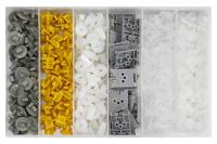 Assortiment bekleding clips voor Renault 300 stuks 4822349