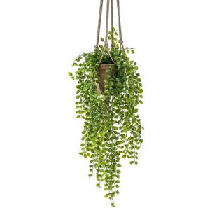 Kunst hangplant Ficus in pot met touwen 16 cm   -