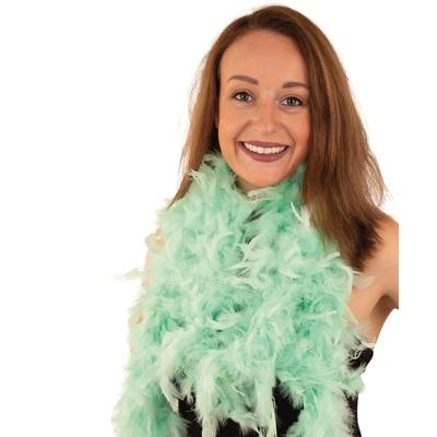 Verkleed veren boa - mintgroen - 180 cm - Carnaval verkleed accessoires - Dames - Veertjes