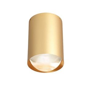 Trizo21 Bily 16 up Plafondlamp - Goud frame - Zilveren ring