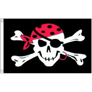 Piratenvlag met schedel