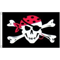 Piratenvlag met schedel