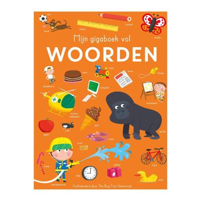 Rebo Publishers Mijn gigaboek vol woorden