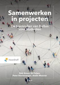 Samenwerken in projecten. (Paperback)