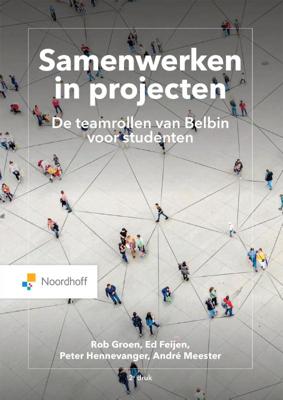 Samenwerken in projecten. (Paperback)