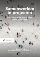 Samenwerken in projecten. (Paperback)