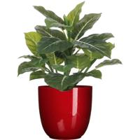 Mica Decorations Kunstplant groen - 49 cm - in bloempot - rood