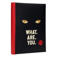 It Notebook with Light What are you