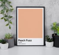 Perzik pluis Poster ontwerp