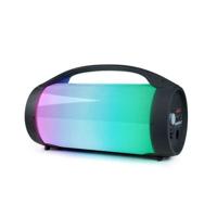 BIGBEN PARTYBTPRO Bluetooth-luidspreker - USB SD AUX IN - 38 CM + DRAADLOZE MIC