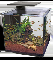 Superfish QubiQ 60 Pro zwart