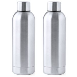 RVS waterfles/drinkfles - 2x - kleur metallic zilver - met schroefdop - 800 ml