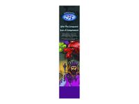 Mystical Aroma's Wierook John the Conqueror (22 stokjes - 30 gram)