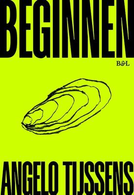 Beginnen (Paperback)