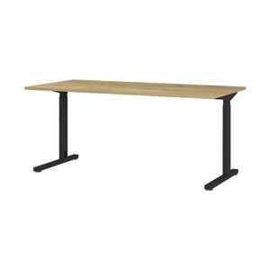 Bureau Discovery Eiken 160 cm