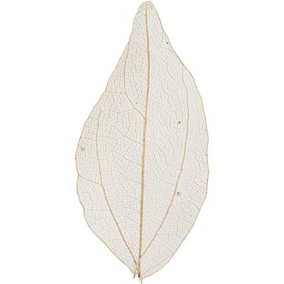 Creativ Company Skeleton leaves , l: 4,5-8 cm, naturel, 20 stuk/ 1 doos