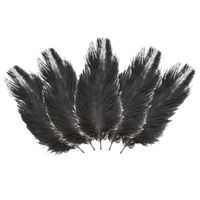 Struisvogelveren/sierveren - 5x - zwart - 20-25 cm - decoratie/hobbymateriaal