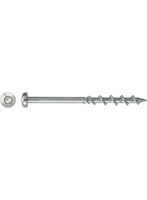 DeWalt Accessoires Walldog 50MM Bolkop T25 WIT (100 stuks) - DFM4260025
