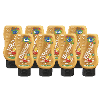 Remia whisky cocktailsaus (8x 250ml)