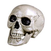 Horror decoratie schedel/doodskop met beweegbare kaak 20 x 15 cm   -