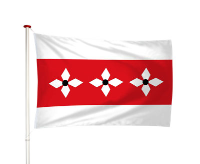 Vlag Vries