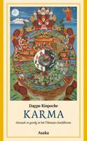 Karma (Paperback)
