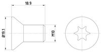 Schroef, remschijf TPM0010