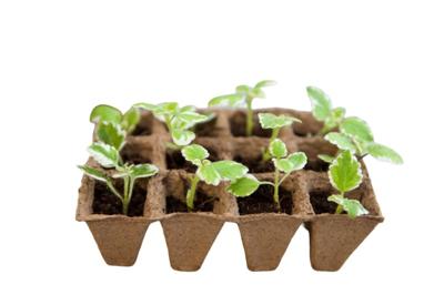 Turfpottrays H5x4x4cm set a 6 trays van 12 stuks - Nature