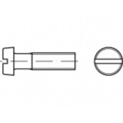 TOOLCRAFT TO-5385312 Cilinderkopschroeven M6 70 mm Sleuf Staal Galvanisch verzinkt 200 stuk(s)