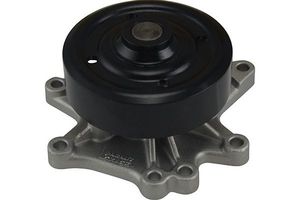 Waterpomp TW5101