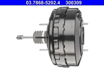 Rembekrachtiger 03786852024