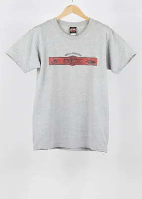 Vintage Harley Davidson T-shirt in Gray size L