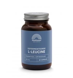 Gefermenteerde L-Leucine 500mg