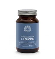 Gefermenteerde L-Leucine 500mg