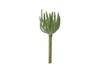 Agave l21 cm groen zijde nepbloem - Louis maes