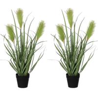 Mica Decorations Kunstplant - 2x stuks - siergras - groen - in pot - H53 x D30 cm