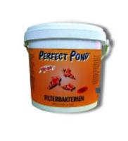 Perfect Pond Filterbacteriën 5000gr - Heldere Vijver & Gezond Water Ecosysteem