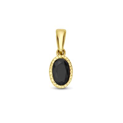 14k Geelgouden Hanger met Zwarte Zirkonia - Een Elegante en Verfijnde Aanwinst