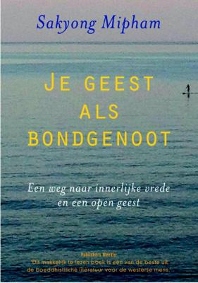Je geest als bondgenoot (Paperback)