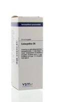 VSM Colocynthis D6 (20 ml)