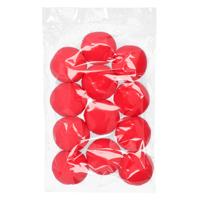 Clownsneuzen, set van 12 stuks